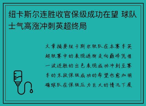 纽卡斯尔连胜收官保级成功在望 球队士气高涨冲刺英超终局
