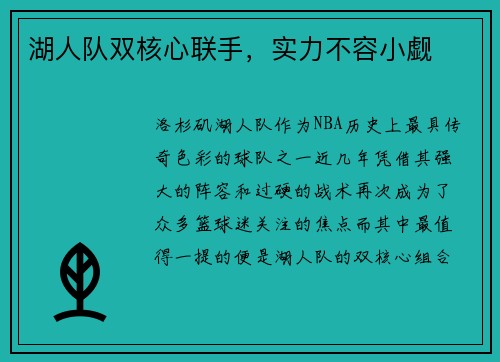 湖人队双核心联手，实力不容小觑