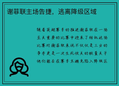谢菲联主场告捷，逃离降级区域