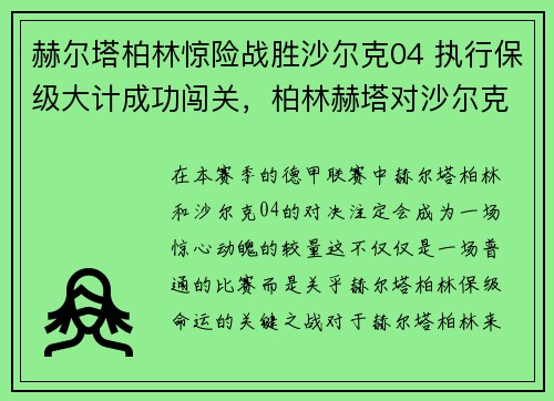 赫尔塔柏林惊险战胜沙尔克04 执行保级大计成功闯关，柏林赫塔对沙尔克