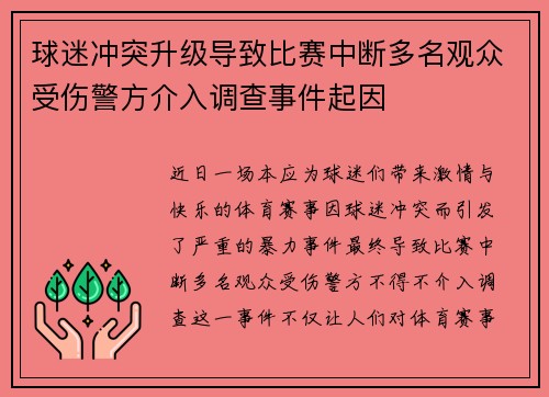 球迷冲突升级导致比赛中断多名观众受伤警方介入调查事件起因